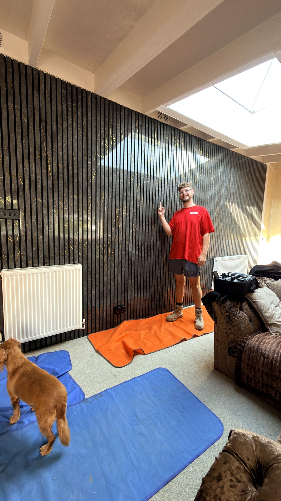 New wall treatment dog mat man - other works project by OddJobs in Kent